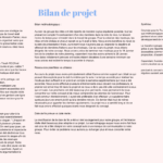 Bilan de projet